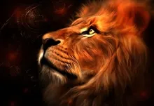 animals artwork lions 1920x1200 wallpaper Art HD Wallpaper